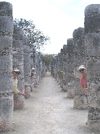 court of 1000 columns